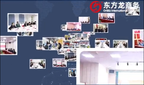 持续放大进博溢出效应，全力冲刺年度1000个项目对接目标！