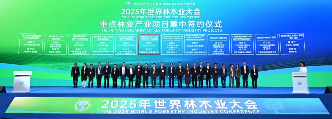 总投资150亿元！上海东方龙商务集团精准推动雨森集团年产能150万吨纸品全产业链投资选址项目正式落地广西贺州